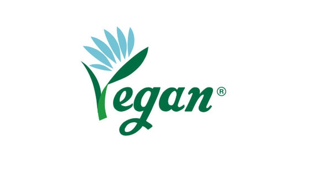 Limpiador Facial Antioxidante Vegano GAON 100ml-6