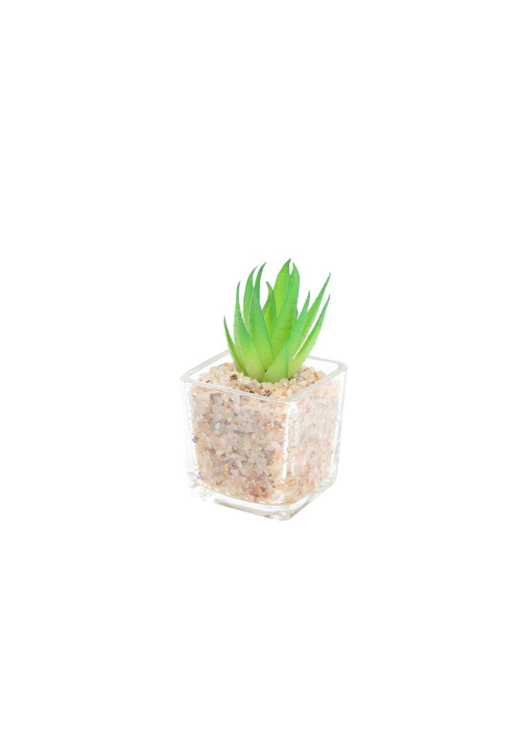 Cactus artificial 5*8cm