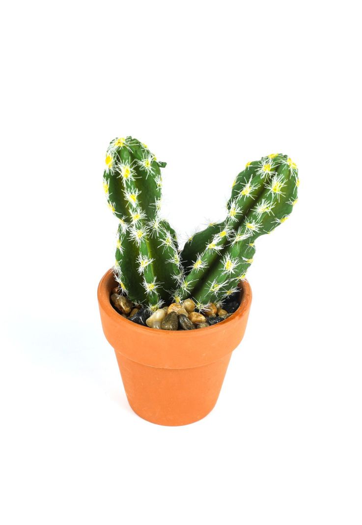 Cactus Artificial Doble 10*7cm
