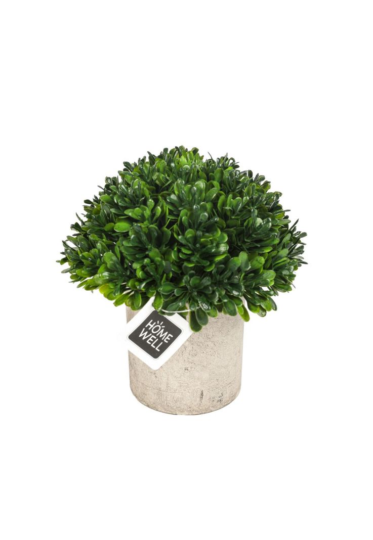 Planta  Artificial Boj 12*12cm-0