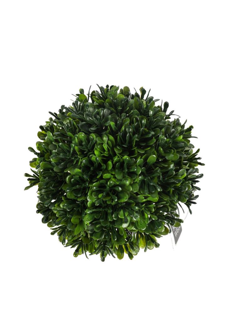 Planta  Artificial Boj 12*12cm-1