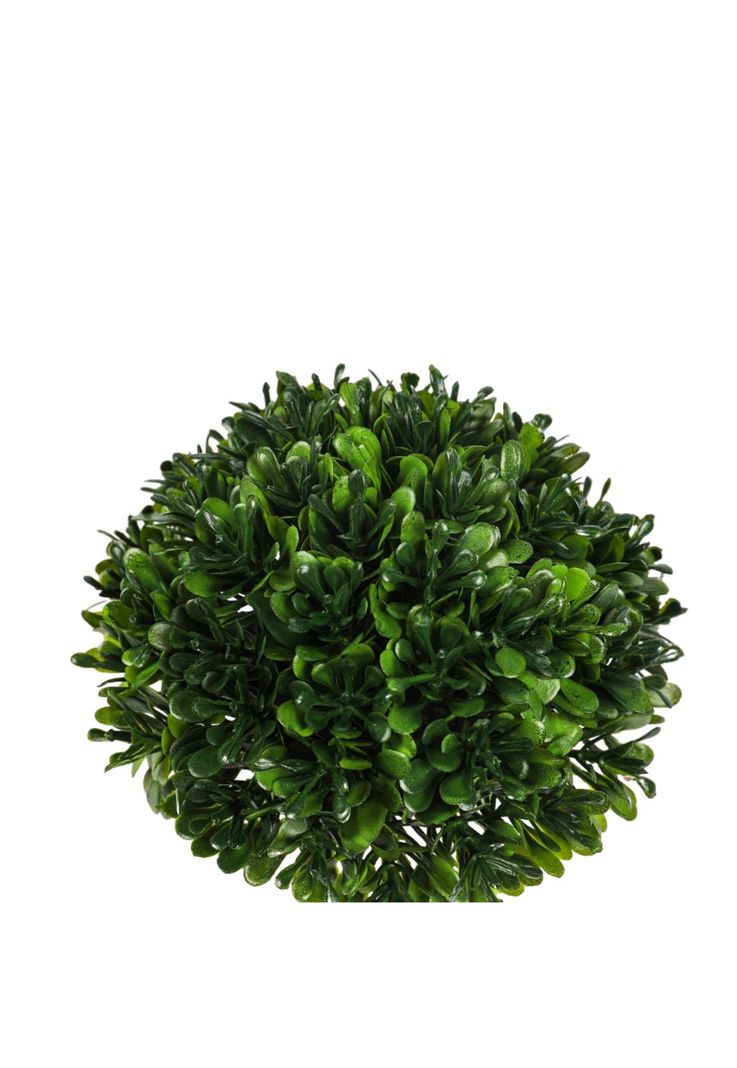 Planta  Artificial Boj 12*12cm-2