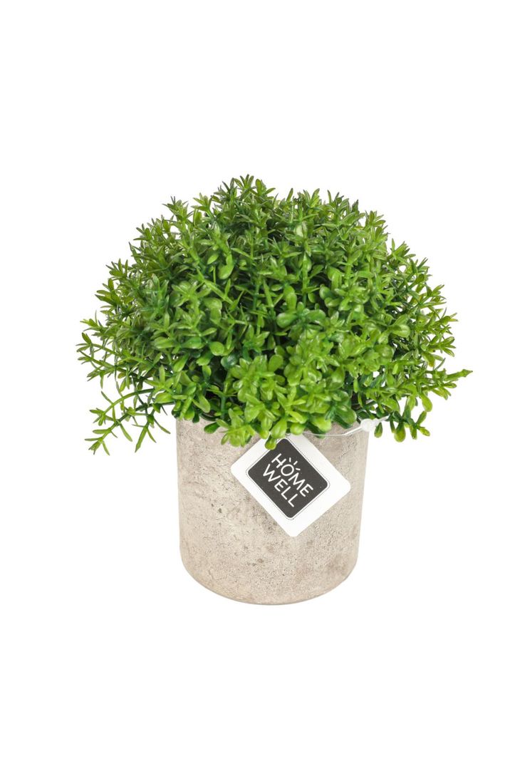 Planta  Artificial 12*12cm-0