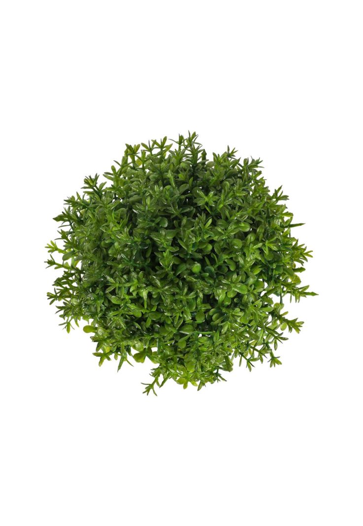 Planta  Artificial 12*12cm-1