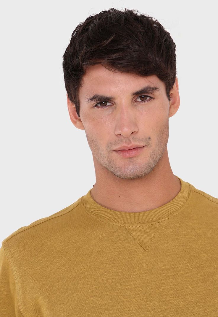 Polerón Cuello Redondo Arrow PL2691MT-2