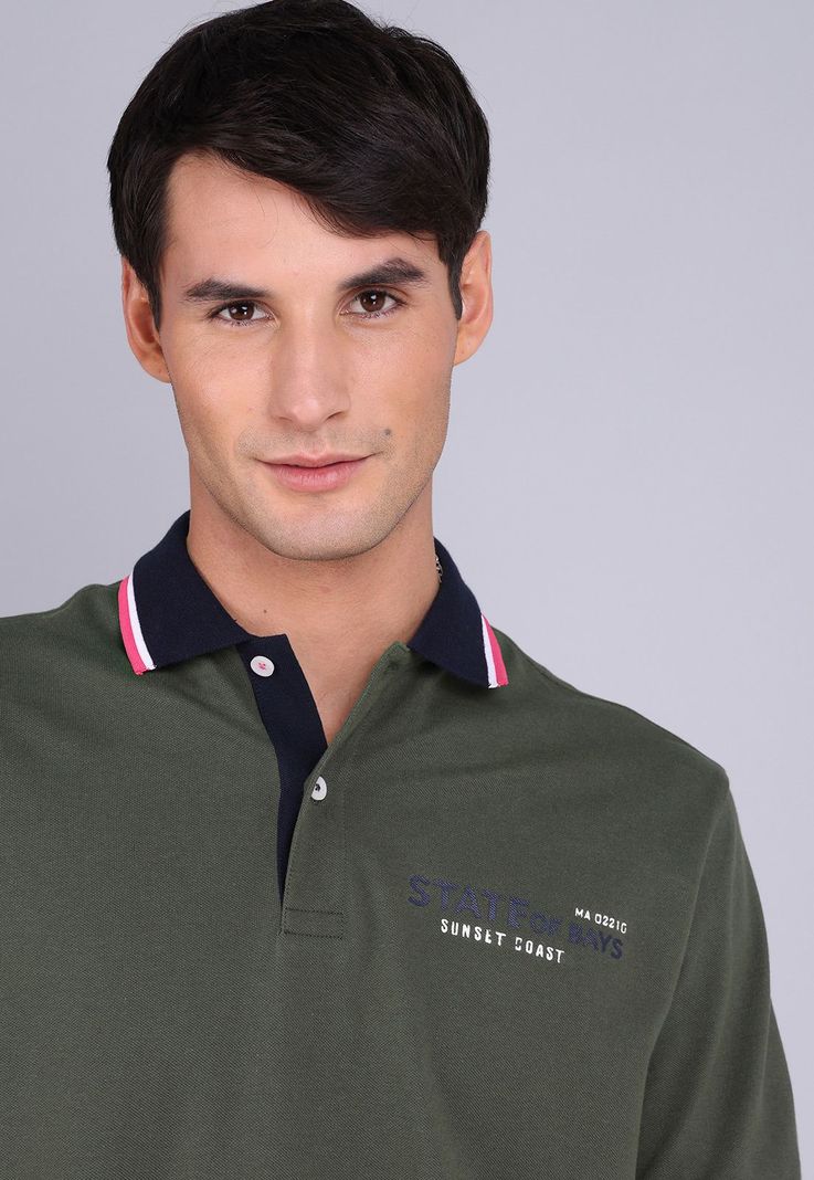 Polera Pique Cuello Polo Arrow PO3075SOL-2