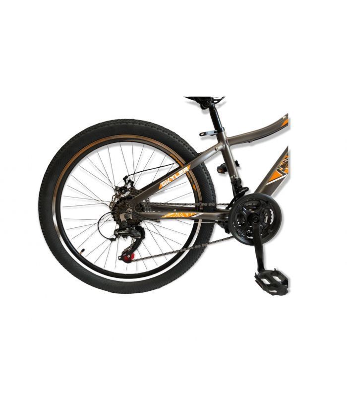 BICICLETA ARO 24 MTB FRENOS DE DISCO POWERBIKE-1