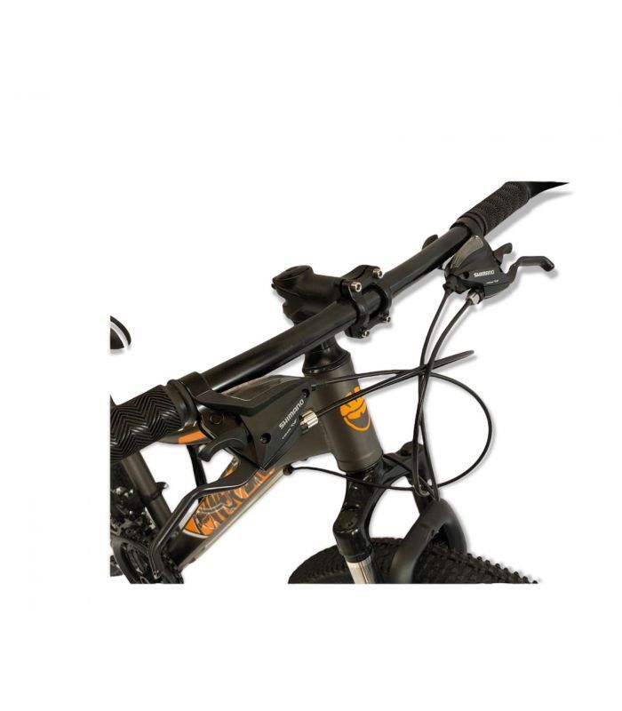 BICICLETA ARO 24 MTB FRENOS DE DISCO POWERBIKE-2
