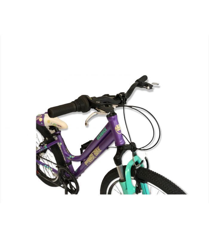 BICICLETA ARO 24 MTB MORADA POWERBIKE-1