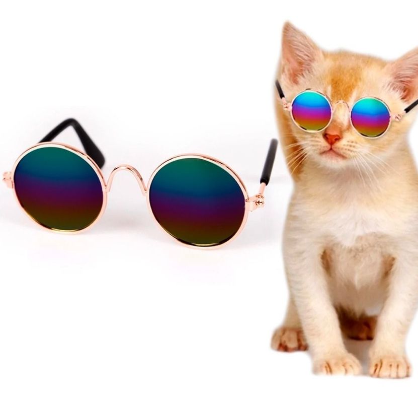 Lentes Gafas De Sol Gato Para Mascotas Gatito Perrito-0