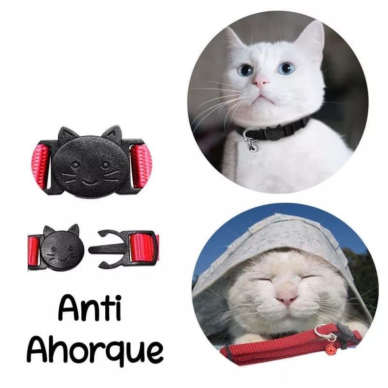 Collar Para Gato Anti Ahorque Ajustable Con  Cascabel-4