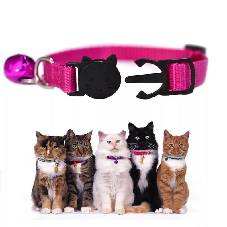 Collar Para Gato Anti Ahorque Ajustable Con  Cascabel-5