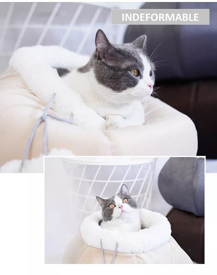 Casa Cama De Gato Tipo Canasto - Indeformable Acolchado-4