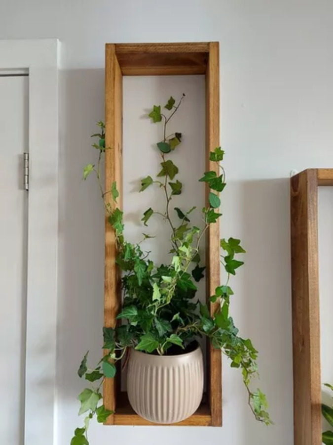 Set X2 Und De Estantes En Madera Para Plantas Y Suculentas-1