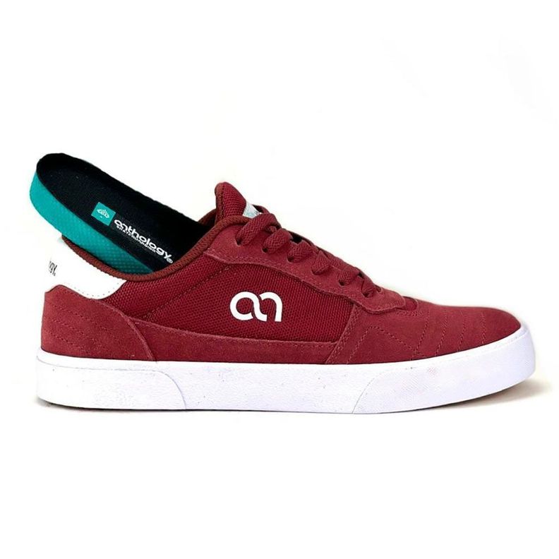 Zapatilla Urbana-Skate 100% Cuero Hombre Anthology-5