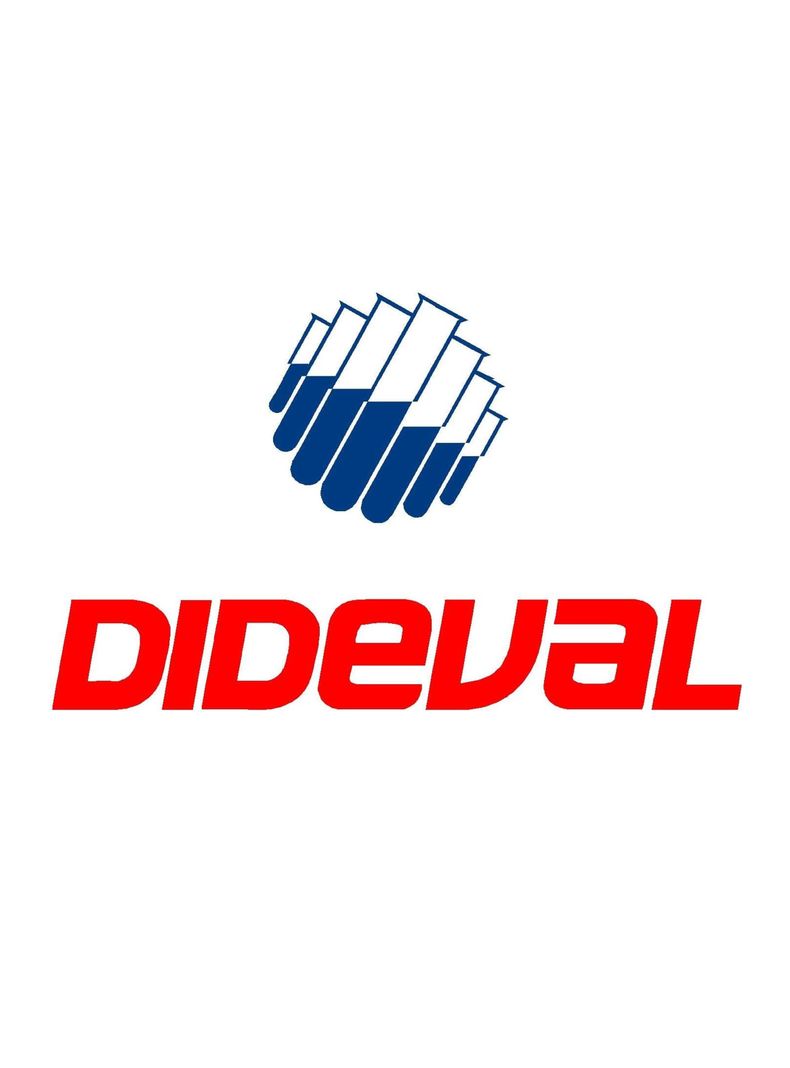 Goma Laca India 100grs - Dideval-2