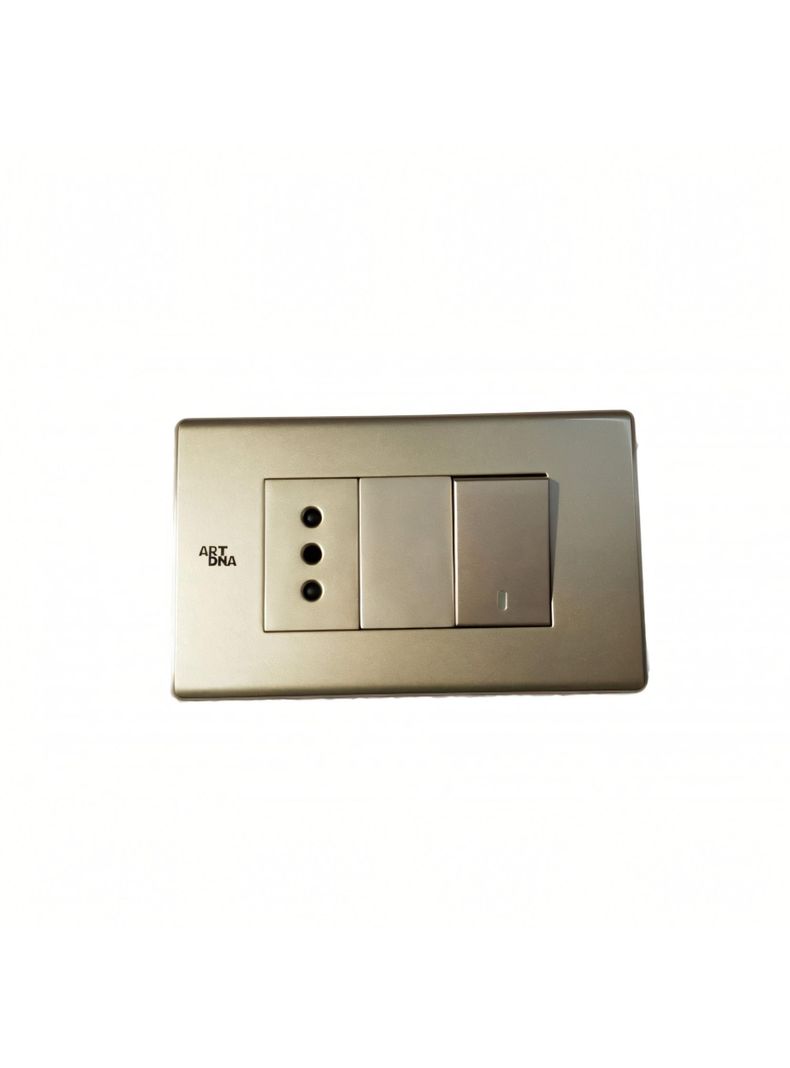 Interruptor 9/12 y Enchufe Dorado 10A - ART DNA-0