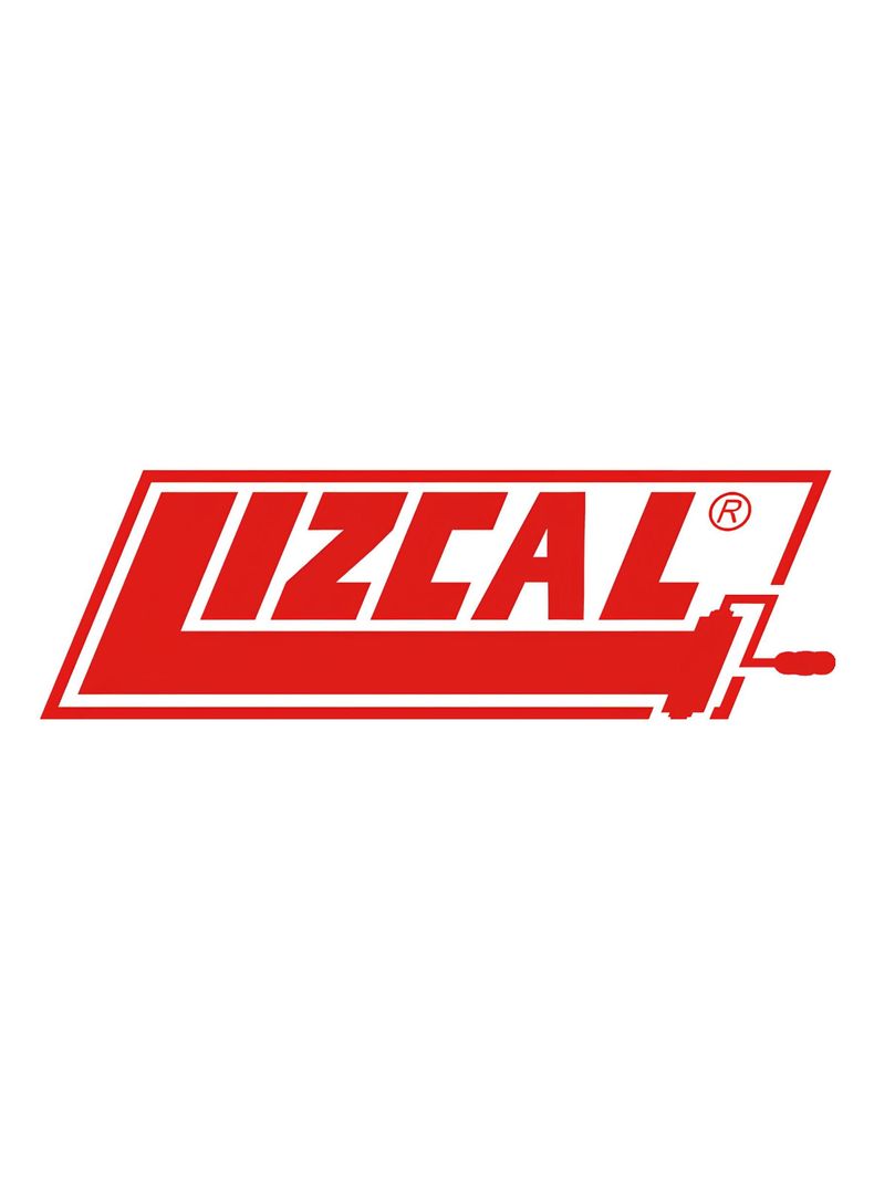 Brocha Profesional 5/8  1  Lizcal-1