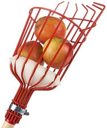 Truper Recolector De Fruta Sin Mango-2