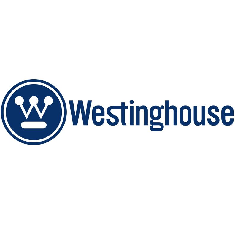 Lámpara de Trabajo Led 8W / 600lm - Westinghouse-2