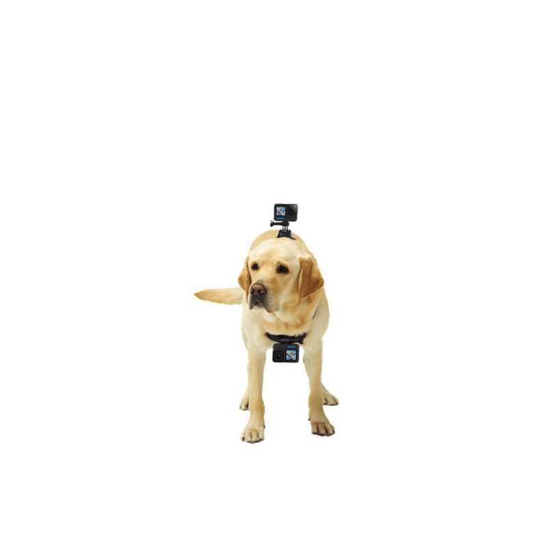 Soporte Arnes GoPro ADOGM 001 Negro para Perros