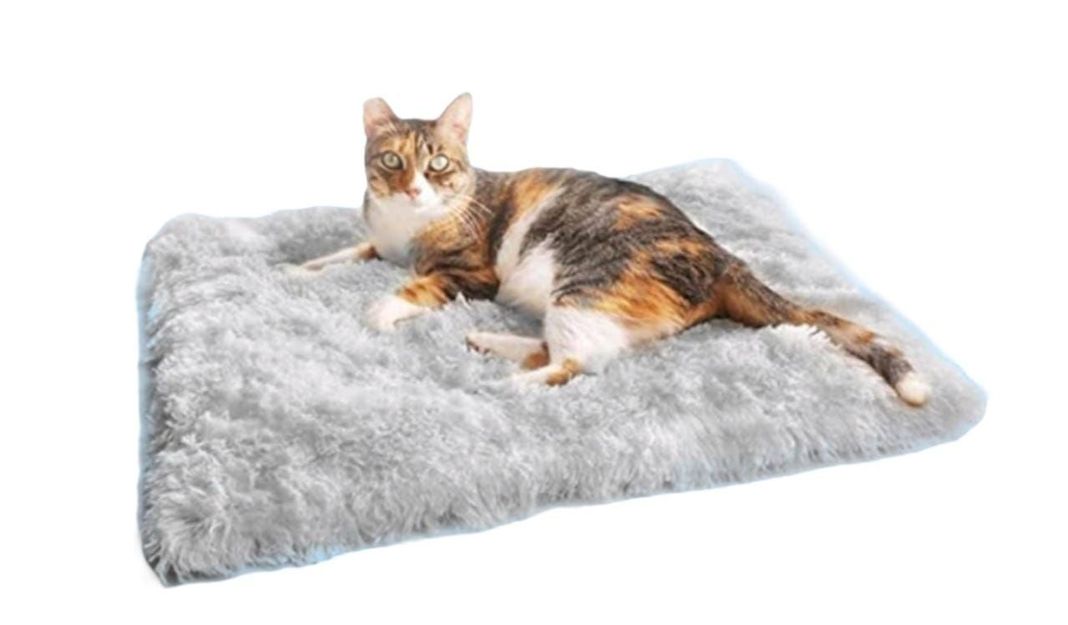 Cama Convertible Para Mascotas Pequeñas-0