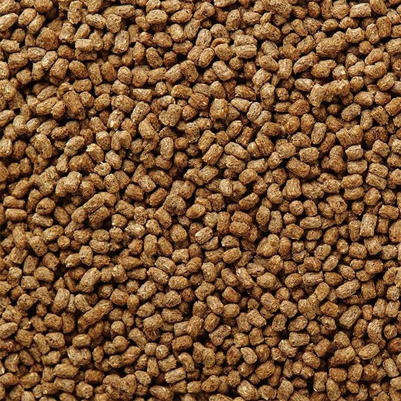 Mazuri Alimento Dragon Barbudo 200 gr-2
