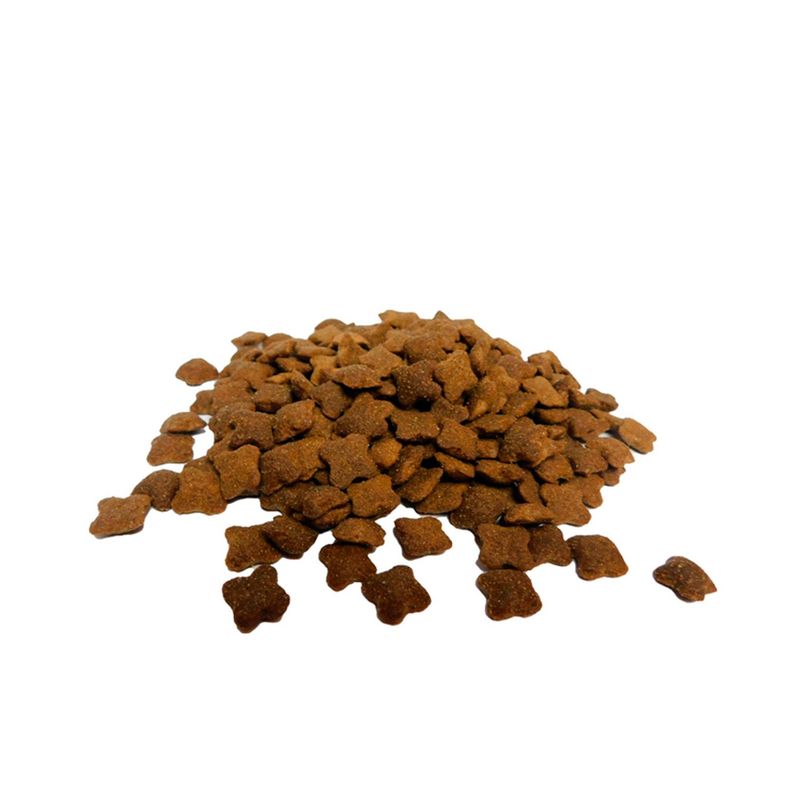 Alimento Perros Alfa Dog Premium Senior 20 Kg-1