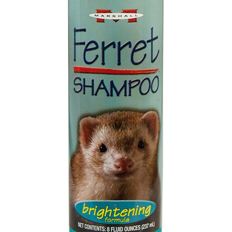 Shampoo Marshall para Huron Pelaje Brillante 237ml-1