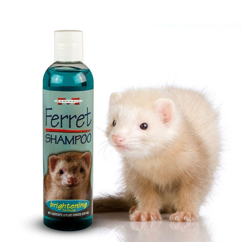 Shampoo Marshall para Huron Pelaje Brillante 237ml-2