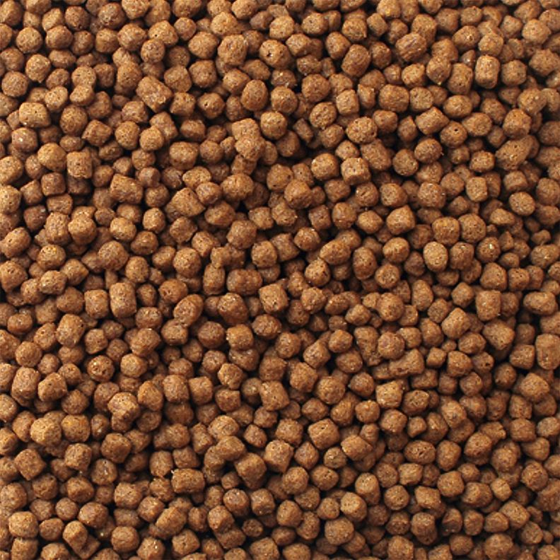 Mazuri Alimento Tortuga Acuatica 340 gr-2