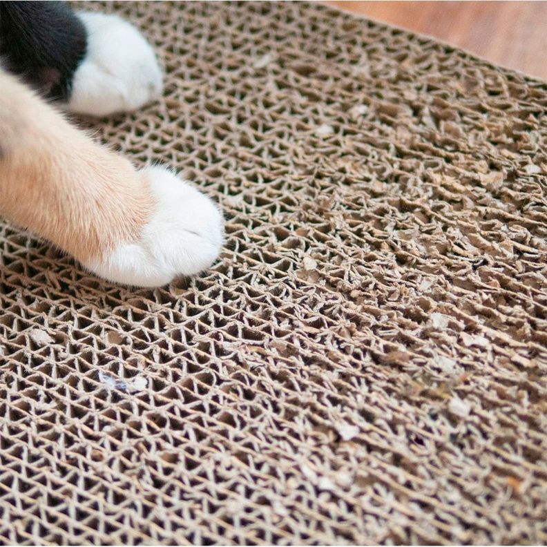 Rascador Plano Camon Para Gatos 1un-2