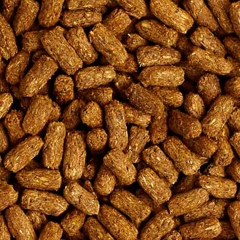Mazuri Alimento Tortuga Terrestre 340 gr-2