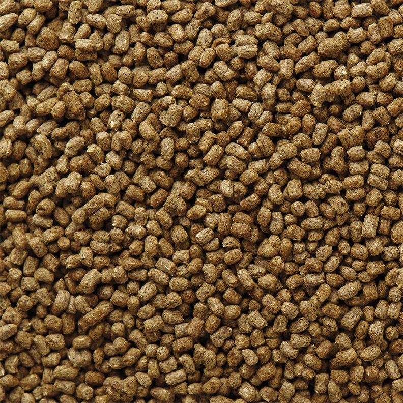 Mazuri Alimento Iguana 200 gr-2