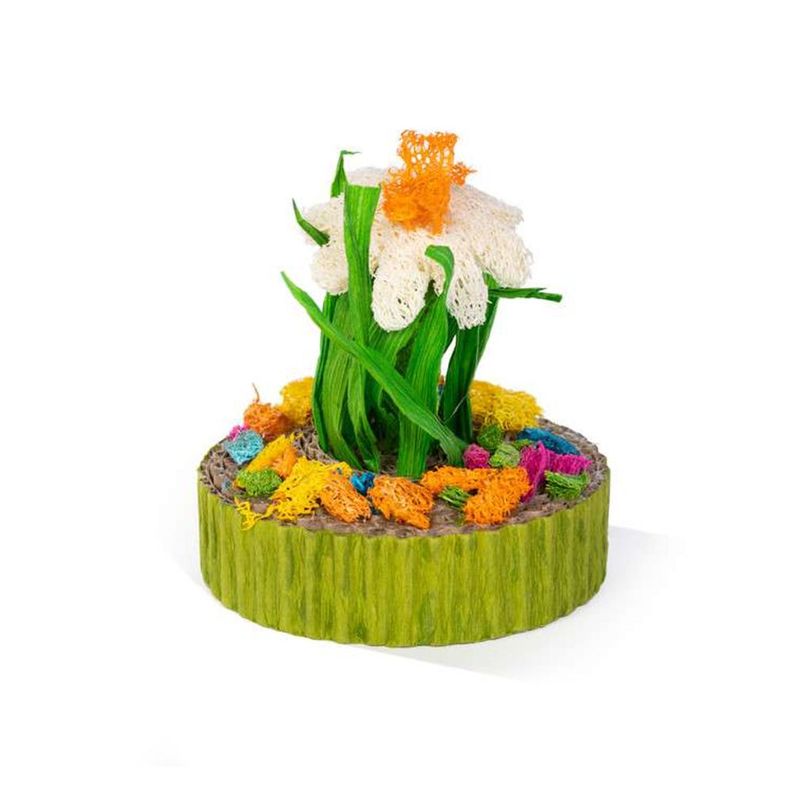 Jardin Mini Suculentas 3 Un Prevue-4