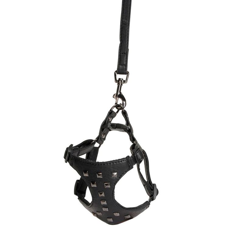 Arnes con Correa Camon para Perros Talla S 120x15-1