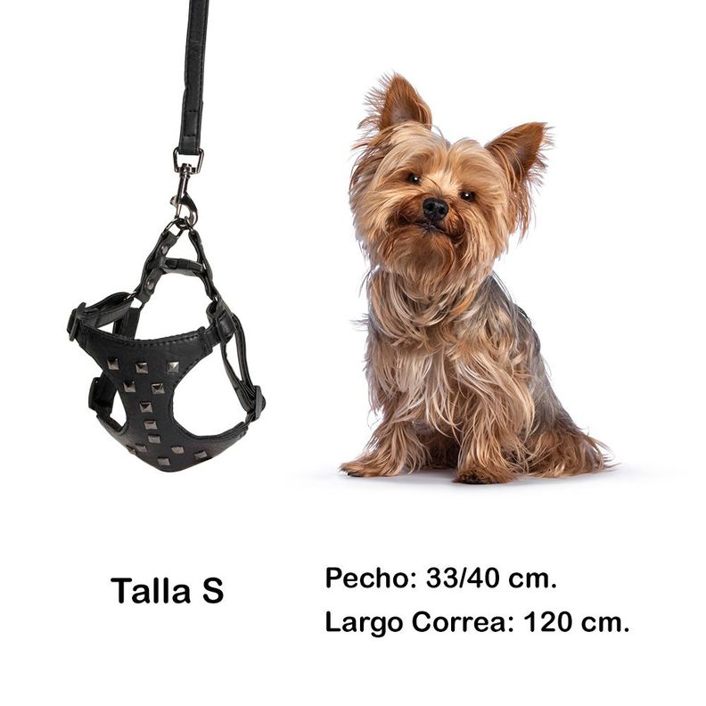 Arnes con Correa Camon para Perros Talla S 120x15-2