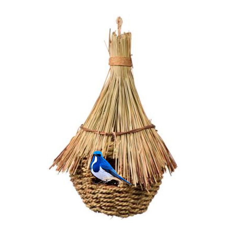 Nido Prevue para Aves Tiki-2