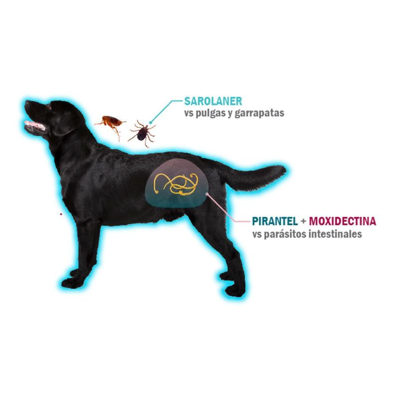 Simparica Trio Antiparasitario X3 Comp Perros 10 - 20 Kg-1
