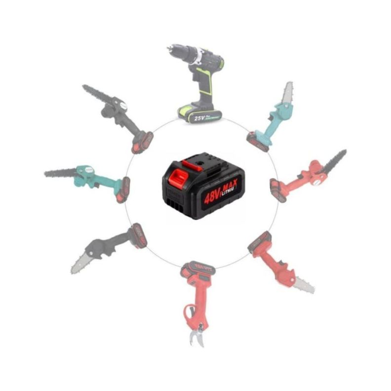 Batería 48v Litio Ion Industrial Ion Lithium Recargable-9