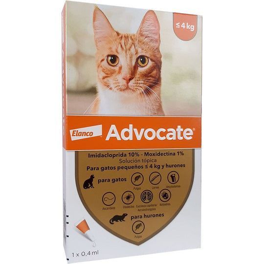Advocate Gatos hasta 4 Kg y Hurones-0