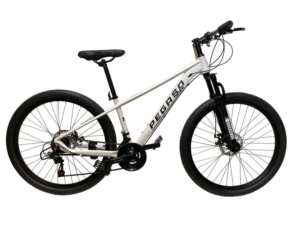 BICICLETA MTB ZEUS 1 ARO 29 TALLA L ALUMINIO 21VELOCIDADES-0