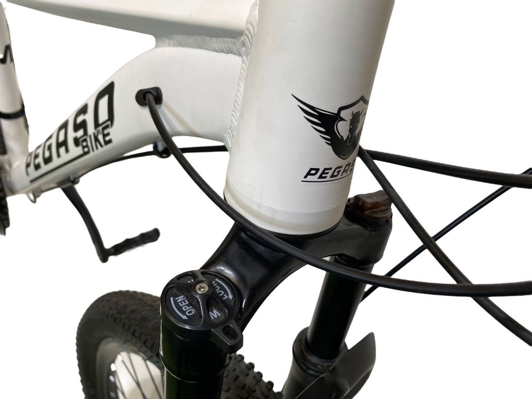 BICICLETA MTB ZEUS 1 ARO 29 TALLA L ALUMINIO 21VELOCIDADES-2