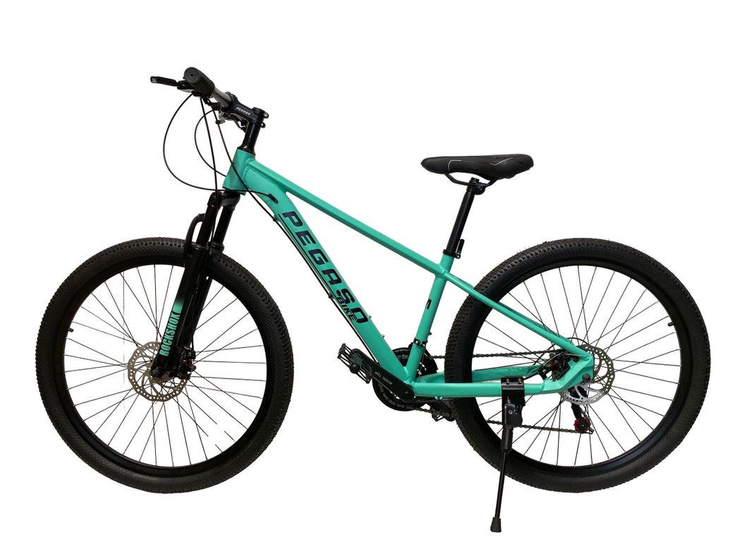 BICICLETA MTB ZEUS 1 ARO 29 TALLA L ALUMINIO 21VELOCIDADES-5