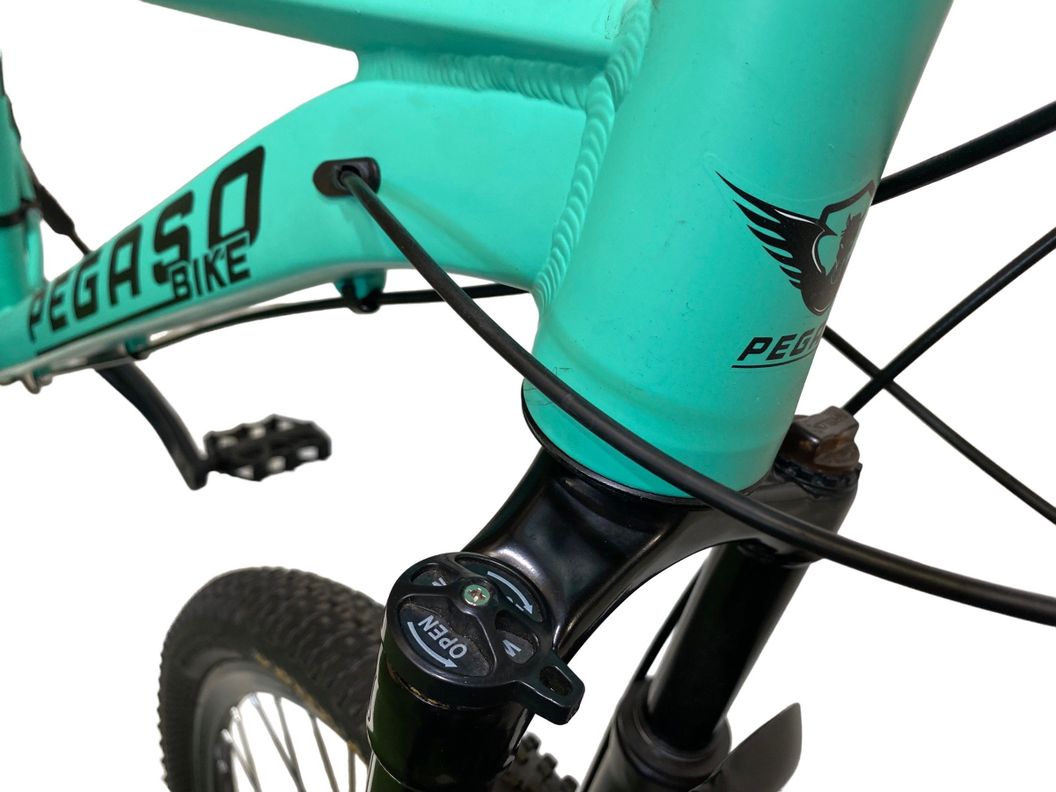 BICICLETA MTB ZEUS 1 ARO 29 TALLA L ALUMINIO 21VELOCIDADES-2