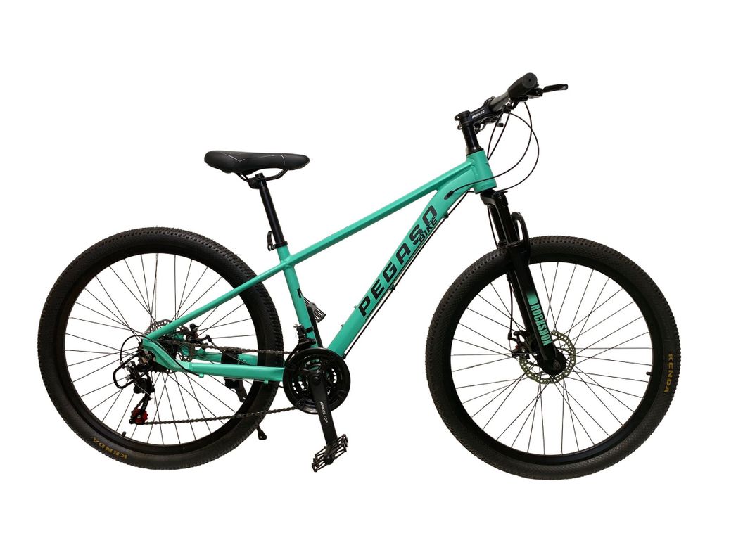 BICICLETA MTB ZEUS 1 ARO 29 TALLA L ALUMINIO 21VELOCIDADES-0