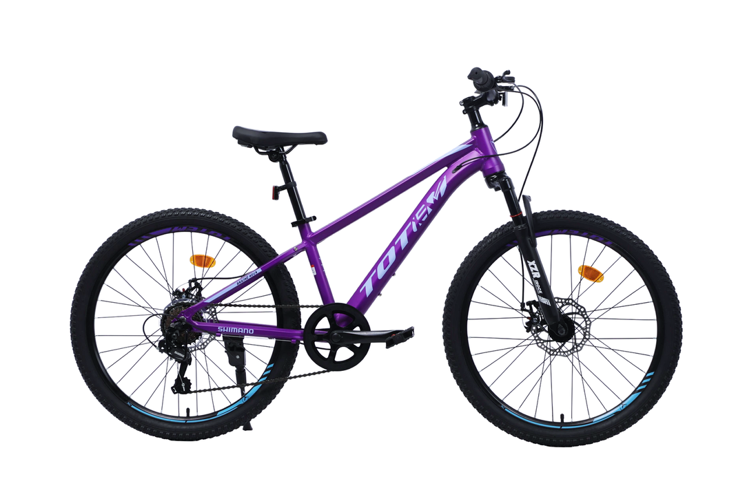 BICICLETA TOTEM MTB ARO 24 SAILING NOVA COLOR MORADO XS