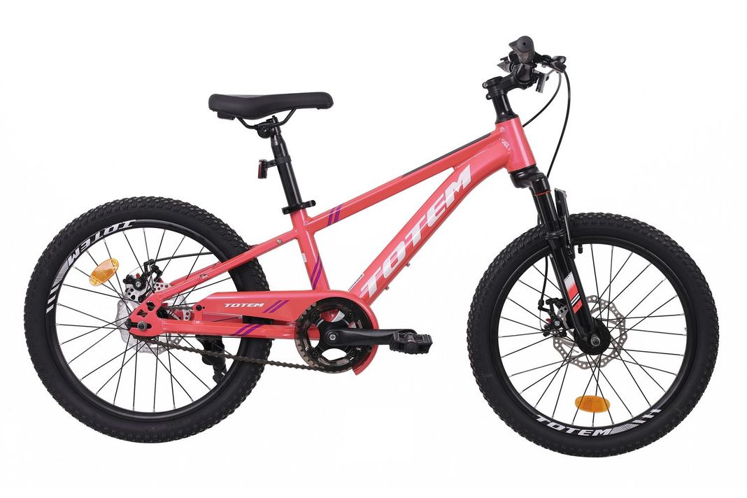 BICICLETA TOTEM MTB ARO 20 SUNSHINE COLOR ROSADA Rosado XS