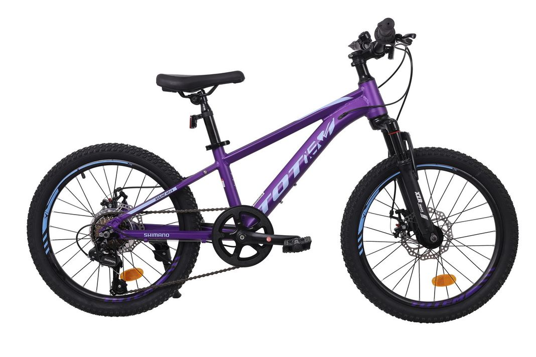 BICICLETA TOTEM MTB ARO 20 MODELO SAILING MORADO XS