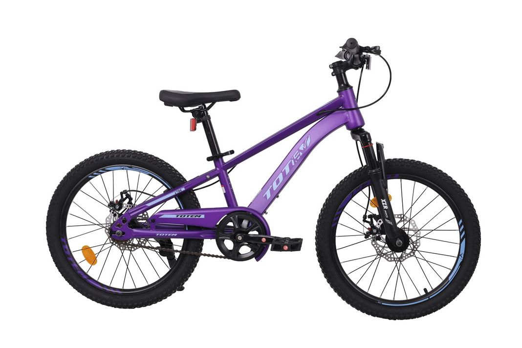 BICICLETA TOTEM MTB ARO 20 MODELO LYRA VIOLETA Morado XS